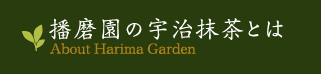 播磨園の宇治抹茶とは About Harima Garden