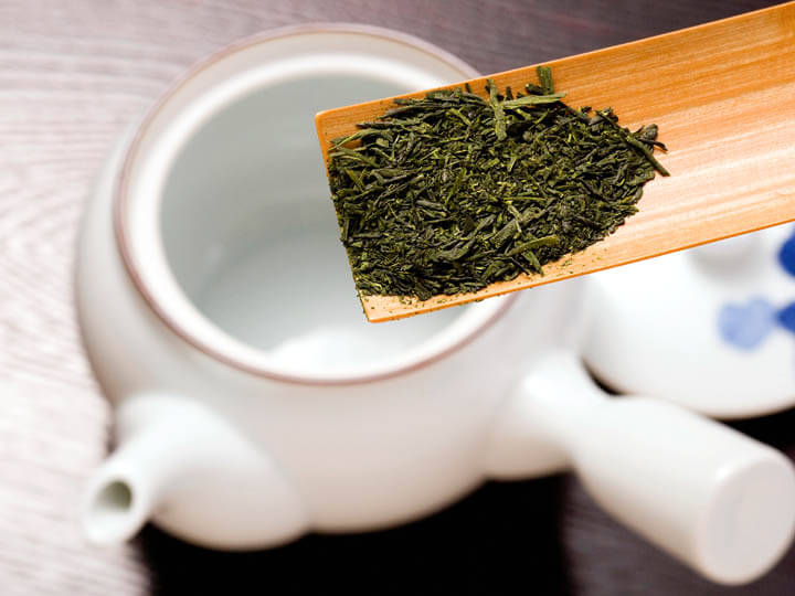 Sencha